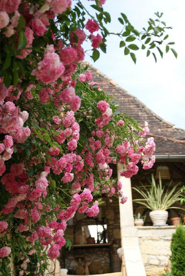 La Tour De Cause Bed & Breakfast กัสเตลโนด์ ลา ชาแปล ภายนอก รูปภาพ